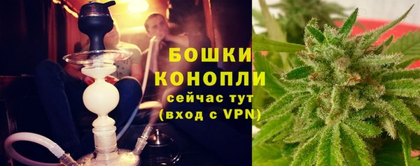 сатива Богородск
