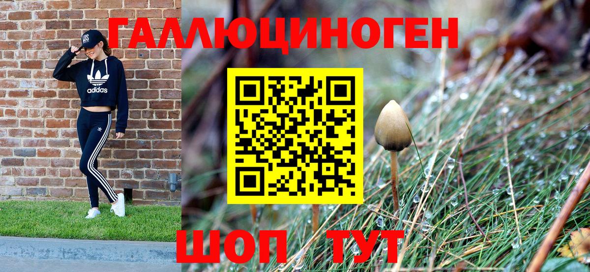 где купить наркоту  Вход с VPN  Реж  Псилоцибиновые грибы Magic Shrooms  Галлюциногенные грибы прущие грибы 